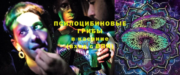 мяу мяу мука Баксан