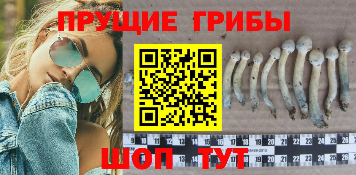 Псилоцибиновые грибы мухоморы  Псилоцибиновые грибы мицелий  наркошоп  Белово  Вход с VPN 