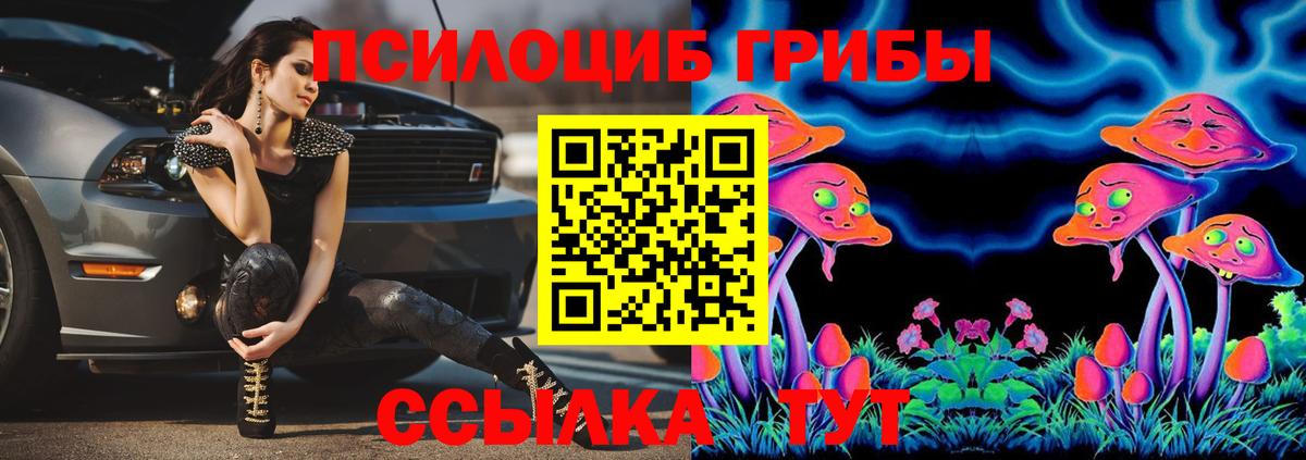 Галлюциногенные грибы мицелий Белово
