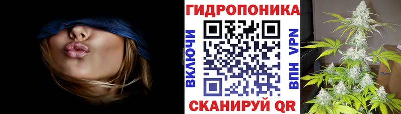 Каннабис план  Белово 